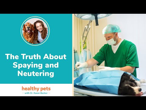 Dr. Becker: The Truth About Spaying and Neutering