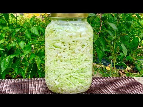 Video thumbnail: Lakra Turshi - Si te Beni ne Shtepi