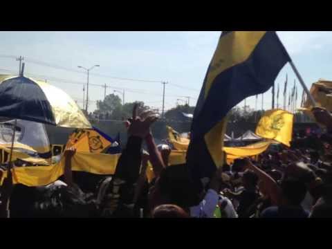 "La rebel llegando al Estadio Olímpico Universitario en su X6 aniversario" Barra: La Rebel • Club: Pumas