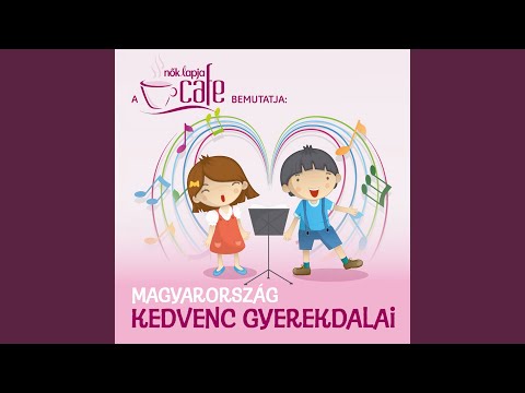 Elvesztettem zsebkendőmet