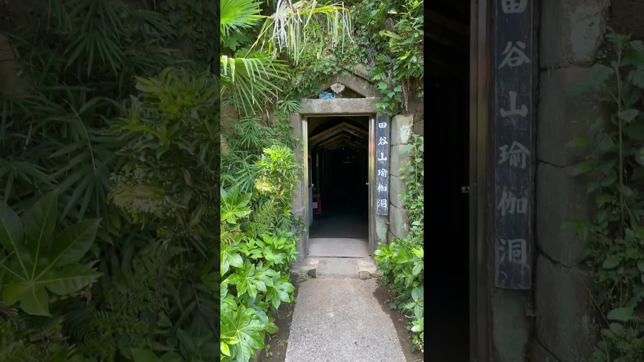 YouTube Short thumbnail