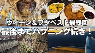 【ウィーン&ブダペスト旅行最終回】最後までハプニング続き!ブダ城・ハンガリー国立美術館・シュテファン大聖堂・シェーンブルン宮殿