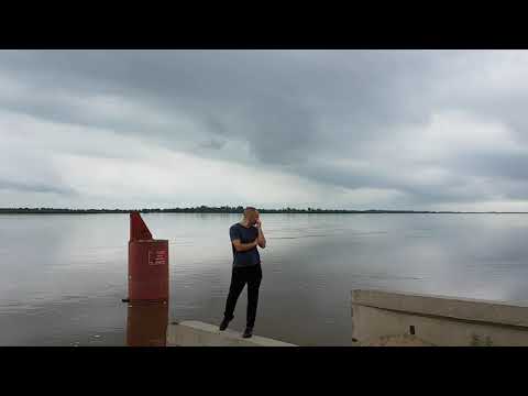 БЛАГОВЕЩЕНСК. АМУР и ЗЕЯ. Ситуация 31 июля.