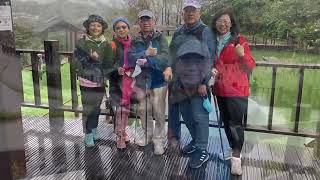 貓空乘纜車賞花