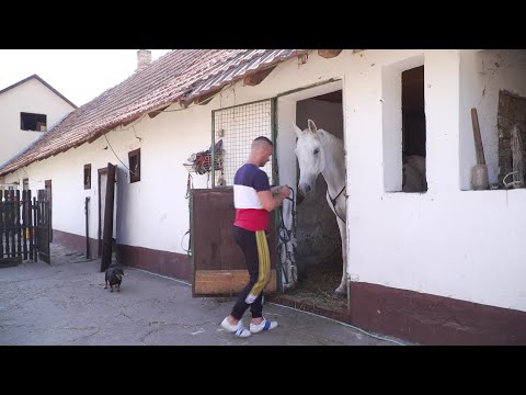 Vajdasági Futam –  Ada