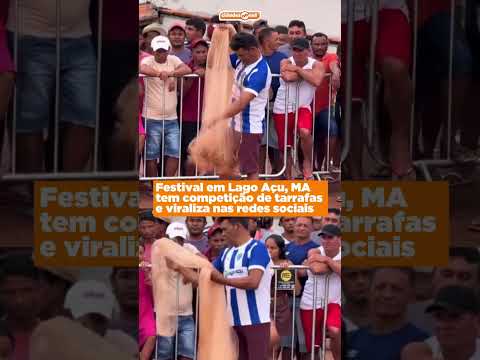 Festival em Lago Açu, MA tem competição de tarrafas e viraliza nas redes sociais