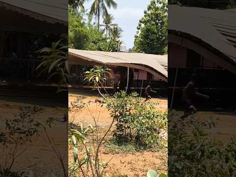 ඇත්ගොව්වා එලව යවන වියරු වැටුන ඇතා😯🐘#elephant#elephantattack##wildlife#foryou#viral
