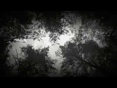 Старуха Мха - Тая в тумане