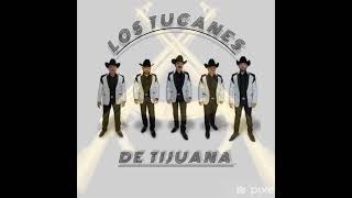 LA LEY 57 ///// Los tucanes de Tijuana///// Fercho25