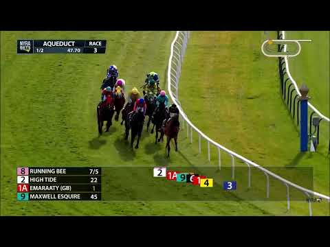 Ocala Dream at Aqueduct 11/17/23