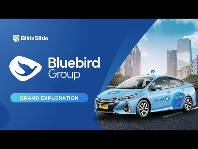 Bluebird Slide Cover