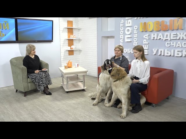 Рубрика "Живая среда"