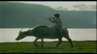 Download lagu Pop Minang | Elly Kasim - Malerean Tabiang ( Musik Video ) mp3 Download lagu Pop Minang | Elly Kasim - Malerean Tabiang ( Musik Video ) mp3