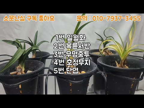 유튜브 썸네일