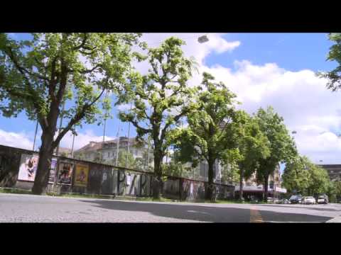 Kreuze an Bäumen,  TeleBärn News  24.5.2014