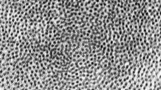 M.B. MAURIZIO BIANCHI MB I.B.M. noise