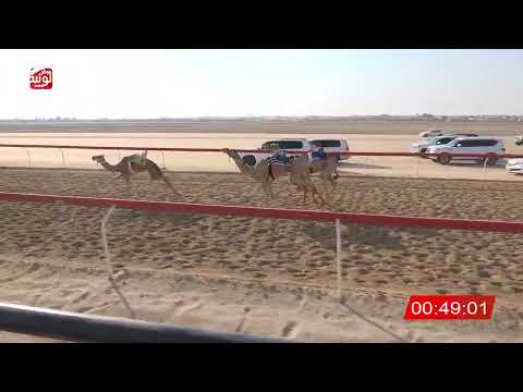  ش 19 (متجمل) لـ محمد سيف بن مايد المزروعي 2:14:60 ، شارة الصندوق 2026/07/25 فطامين الوثبة