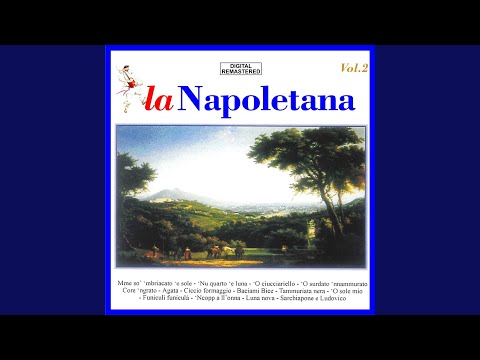 Sarchiapone e Ludovico