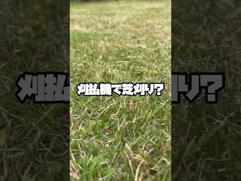 厚くて明るい緑の芝生を作る方法 ガーデニングに適した方法 土壌の種類