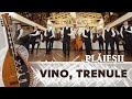 Plăieșii Vino Trenule Extras De Pe Albumul Partea Noastră De Iubire