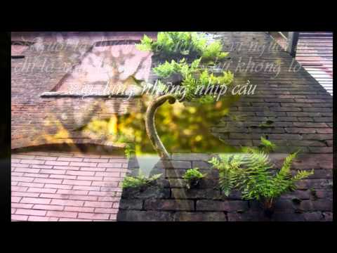 Tiếc một người - Sĩ Phú