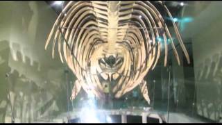 "Dying Breed" from "Billy Sherwood "No Comment" / www.billysherwood.com