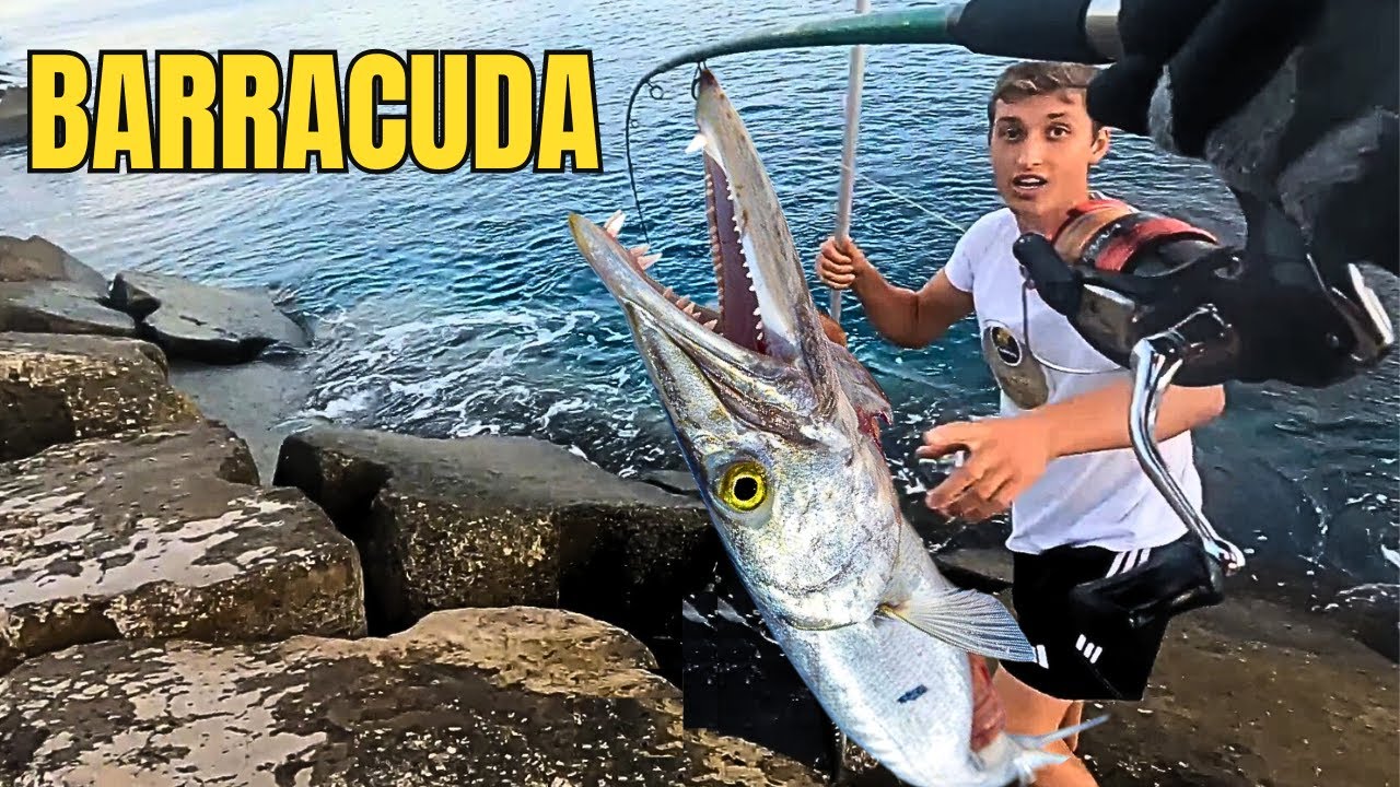 🎣 Fishing and Cooking 👨‍🍳🍲 BARRACUDA with Lure