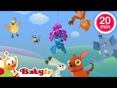 A Pequena Aranhita🕷️ + Mais canções infantis 🎵 | Canções de animais para crianças @BabyTVPT