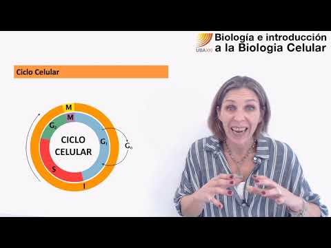 69- Biología celular. Ciclo celular