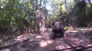 preview picture of video 'Gator Run 2014 riding through the trails'