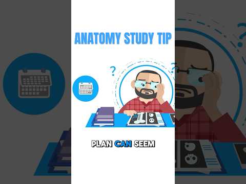 Anatomie & Behandlungswissen Videos – Interaktives Nachschlagewerk für Physio, Massage, Therapie 50 Anatomy study hack: stay organized!