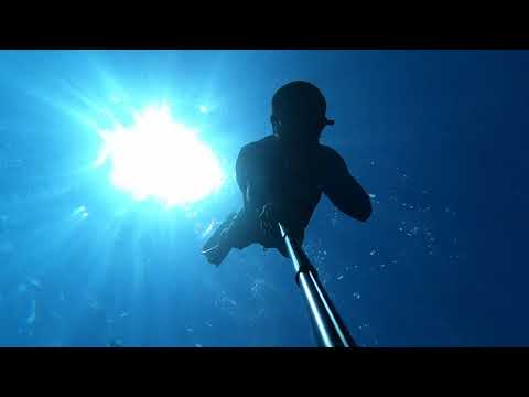 2020蘭嶼自由潛水潛旅紀錄