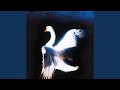 Identity/Swans (Ambient Version)