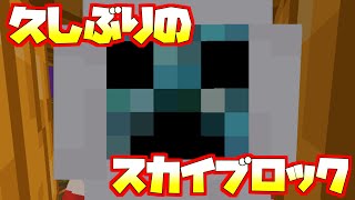 【スカイブロック】久しぶりです【ハイピクセル】