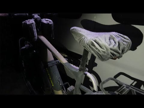 Bike tour Müritz National Park