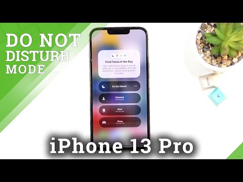 How to Activate DND Mode on iPhone 13 Pro – Block Sounds & Vibrations