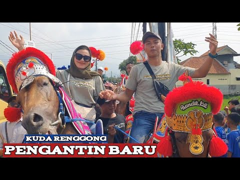 Renggong horses cause traffic jams - Dancing horse video