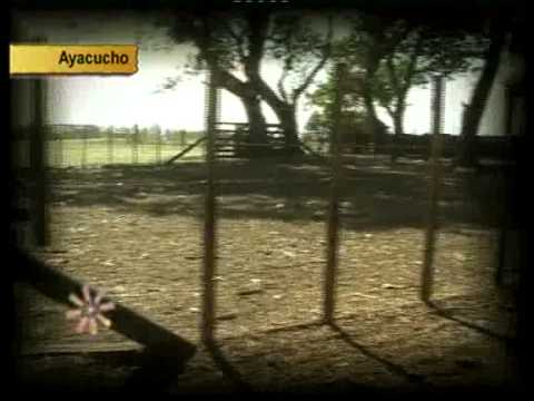 cabana la reforma.flv