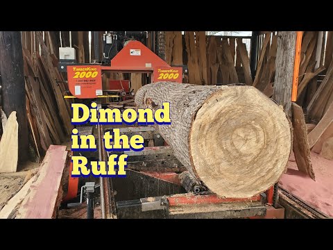 Slabbing up the sweeter of the Gums on the sawmill.... hidden surprise