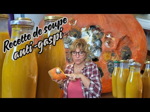 JE FAIS DES CONSERVES DE SOUPE AVEC TOUTES MES COURGES ABIMEES #Recetteantigaspi