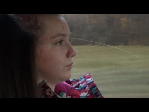 MAZAIS LAUVĒNS (Dok. Filma, 2016)