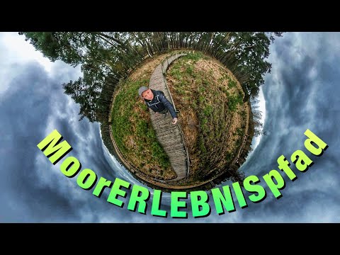 Der Mooererlebnispfad in Diersfordter Wald 🌲 🌳