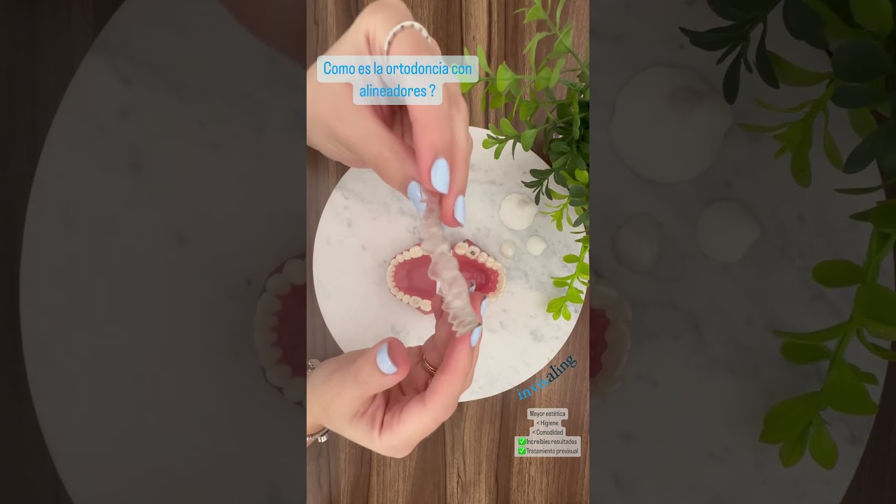 Andrea Pulido Quintero-0