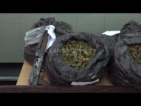 Policia kap 135 kilogramë marihuanë - 13.09.2017 - Klan Kosova