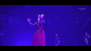 Evanescence - The Change (Live MULTICAMARA)