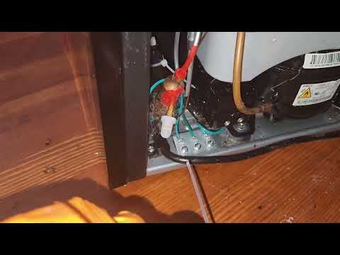 Eliminating the German Cockroaches Behind the Fridge in Pine Beach, NJ