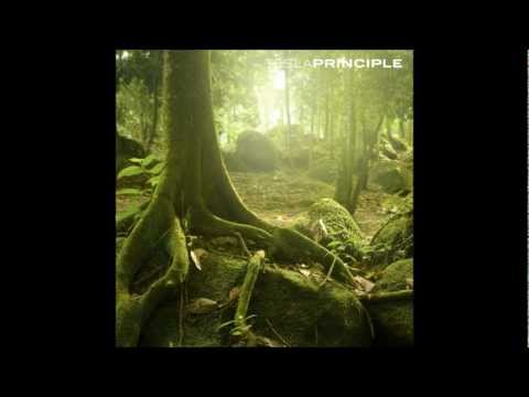 Tesla Principle - Deep In The Forest