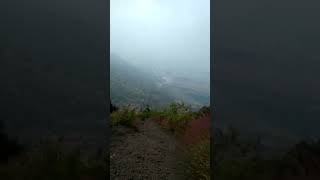 Download lagu Turun gunung guntur garut #wildlife #hiking #gunungguntur #hutan #gunung #mountains mp3