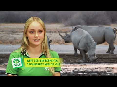 GESS x European Chamber of Commerce - Sustainability Video 2022