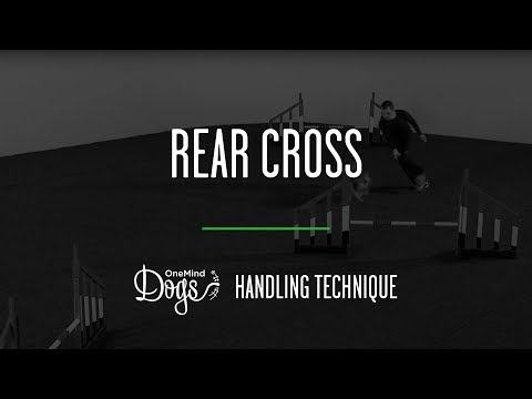 Rear Cross Agility Handling Technique